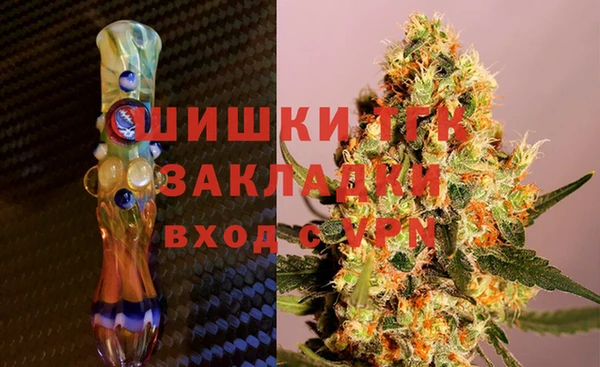 индика Краснослободск
