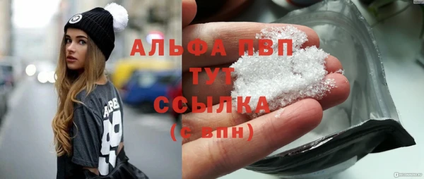 индика Краснослободск