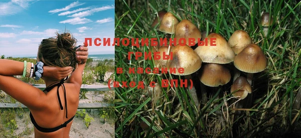 прущие крисы Краснотурьинск