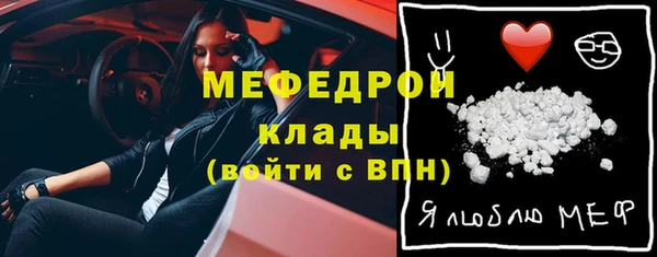 индика Краснослободск