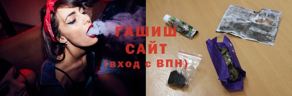 индика Краснослободск