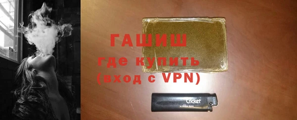 индика Краснослободск