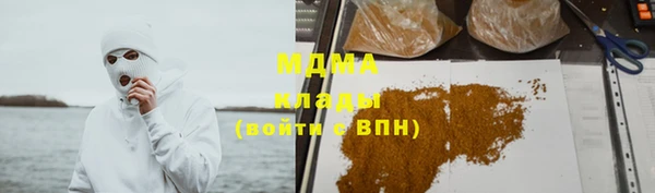 индика Краснослободск