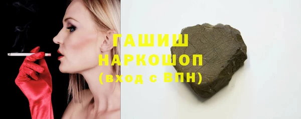 индика Краснослободск