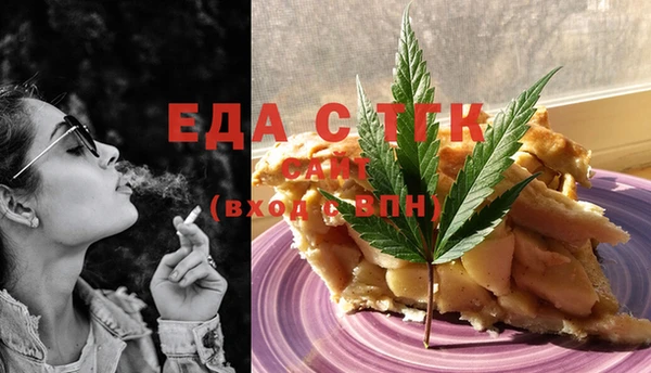 индика Краснослободск