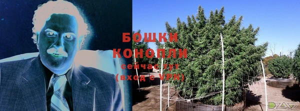 индика Краснослободск