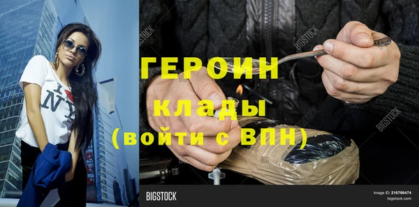 индика Краснослободск