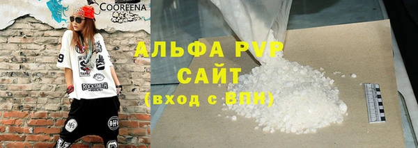 индика Краснослободск