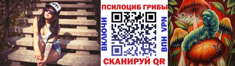 Купить где  Усть-Катав  Галлюциногенные грибы ЛСД 
